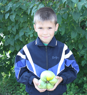 Илюша Иванов с добычей из бабушкиной теплицы - этот помидорчик весит 700 граммов